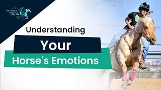 Understanding Your Horse's Emotions