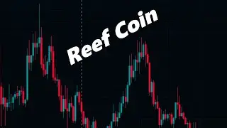Reef Coin News Today and Its Analysis 5 September - Reef Coin Price Prediction
