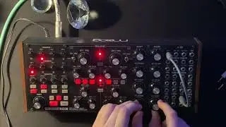 Phoebe | Subharmonicon