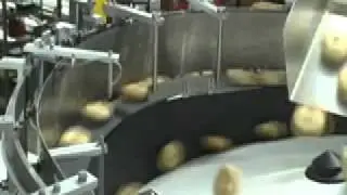 Bagel Count Batch Feeder
