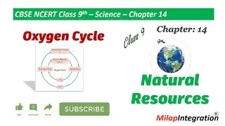 What is Oxygen Cycle? | Chapter 14| CBSE NCERT Science Class 9 | MilapIntegration