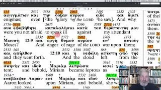 Numbers 12 -  The Apostolic Bible Polyglot