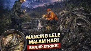 Mancing Lele Malam Hari di Alam Liar | Strike Bertubi-tubi, Lele Besar Nyambar!