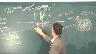 Geoff Lawton on NPK Fertilizer (Indonesian Subtitles)
