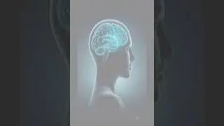 Your Mind Responds to Patterns