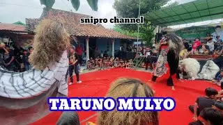 Singo barong terbaru bersama paguyuban seni singo barong taruno mulyo botolmuyo