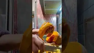 বাগানের কুইন👑