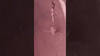 Bunker Cleaning using a SiloWhip system