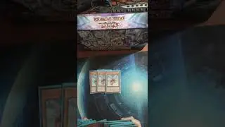 Battlewasp Deck Profile Nuevo Soporte Combo Sincron&iacute;as OTK Insect BeatDown Yu-Gi-Oh TCG 2025