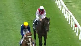 Red Anchor Stakes 2025 - NAPOLEONIC (3YO SWP G3) Группа 3, Муни-Вэлли, 25 октября