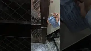Porter Parcel Or Uber Parcel Me Kya Fark Hai 📦 || Kitna Pr Km Milta Hai Uber or Porter me || Ola S1