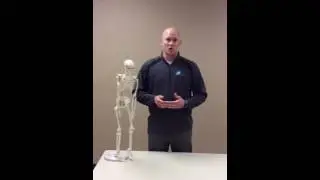 Ted Kruse, DPT explains stress fractures and how Physical Therapy can help.