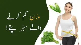 Curry Leaves for Weight Loss | Chiltanpure