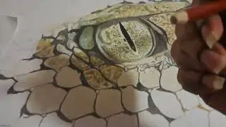 Snake in Derwent Drawing Pencils