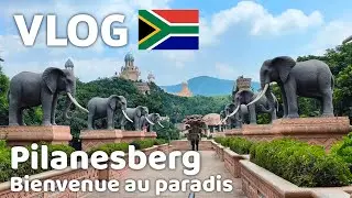 SUN CITY ET FINFOOT : deux destinations incroyables en Afrique du Sud ! - Vlog