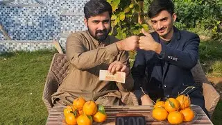 Orange eating competition 😋 wins 5000 rupees amazing compilation #competition #fruit #eating #fyp