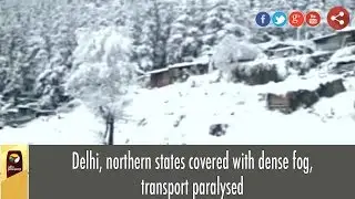 Delhi, northern states covered with dense fog, transport paralysed