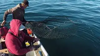 Great Bear Lake X-FILES