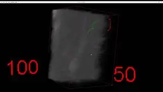 Dendritic arbor 2D vs 3D