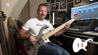 Bartolini - 5-String Original X4 Candybar &ndash; 74X45J