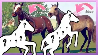 Ihr glaubt mir EH NICHT was wir f&uuml;r FOHLEN gez&uuml;chtet haben 😳 Rival Stars Horse Racing #170