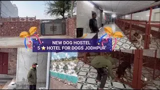 New Dog Hostel By  Prakash Khatri ONE OF BEST DOG HOTELS EVER @dogloverprakash