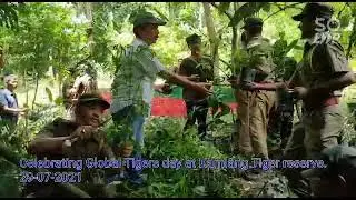 Celebrating global tiger day kamlang tiger reserve wakro