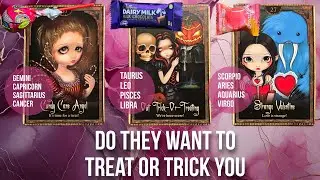Do they want to treat or trick you? - Pick a Card Tarot Reading