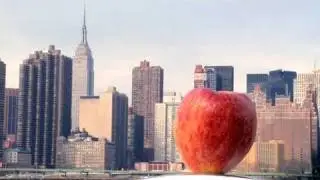 The Urban Barcode Project: Explore New York City's DNA!