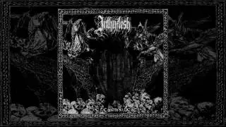 Inthyflesh - Forever Insanity