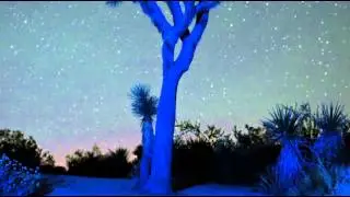 The Pocket Gods - Night Lights