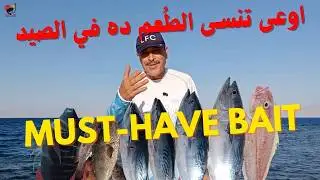 الطُعم ده نجح معايا في صيد كل أنواع الأسماك