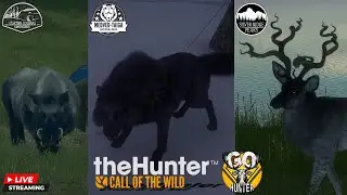 Let's Shoot The Wild Boar First!! And a Couple More GOs!!
