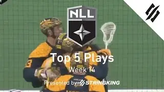 Top 5 Plays | NLL 2017 Week 14 Highlights | StringKing Lacrosse