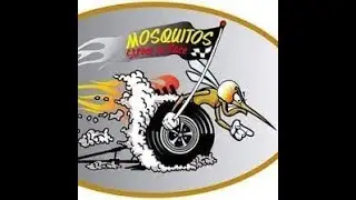 mosquitos drag race guiscriff (56)