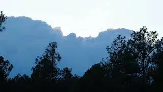 Time lapse of clouds and Ponderosa Pine trees in Christopher Creek, Arizona on 7/19/25