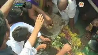 YS JAGAN  attends plantation at mulukuduru as 1500 km completed. 14th march 2018.