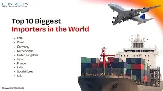 Top 10 Biggest Importers in the World: Who Rules Global Trade