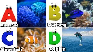 ABC Song | Sea Animals ABC Song | Phonics for Kids, Learn ABC, Baby Alphabet Letters