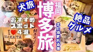 【犬と旅行】博多炉端グルメ 屋台ラーメン 餃子に愛犬と行ってきた💕福岡博多中洲【博多炉端 魚男 FISHMAN】【犬と泊まれる宿】