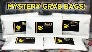 NEW PRODUCT! 5x Pokemon Mystery Grab Bag Opening!! - Wilds Department Store Exclusive