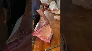 Incredible Bluefin Tuna Cutting Skills in Taiwan! 🔪🐟🔥 #TunaMasters #SeafoodArt