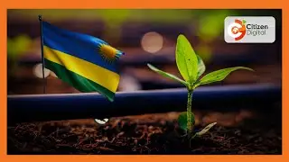 Nasho Solar-Powered Irrigation Project was developed to modernize Rwanda&rsquo;s agriculture sector