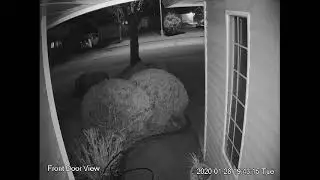 southsurreybc Live Stream