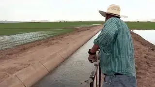 Debate grows over parched California's thirsty crops