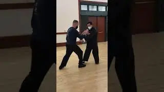 Yang Style Push Hands Explain
