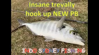 Insane Trevally hook up with super light gear (NEW PB)