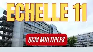 20 QCM Multiples pour préparer à EAP et l'échelle 11 pour les infirmiers et techniciens de santé