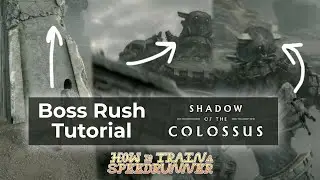 How To Train A Speedrunner - Shadow of the Colossus