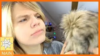I WISH I Knew This Before Starting Hormone Blockers!!! | Hannah Phillips Real